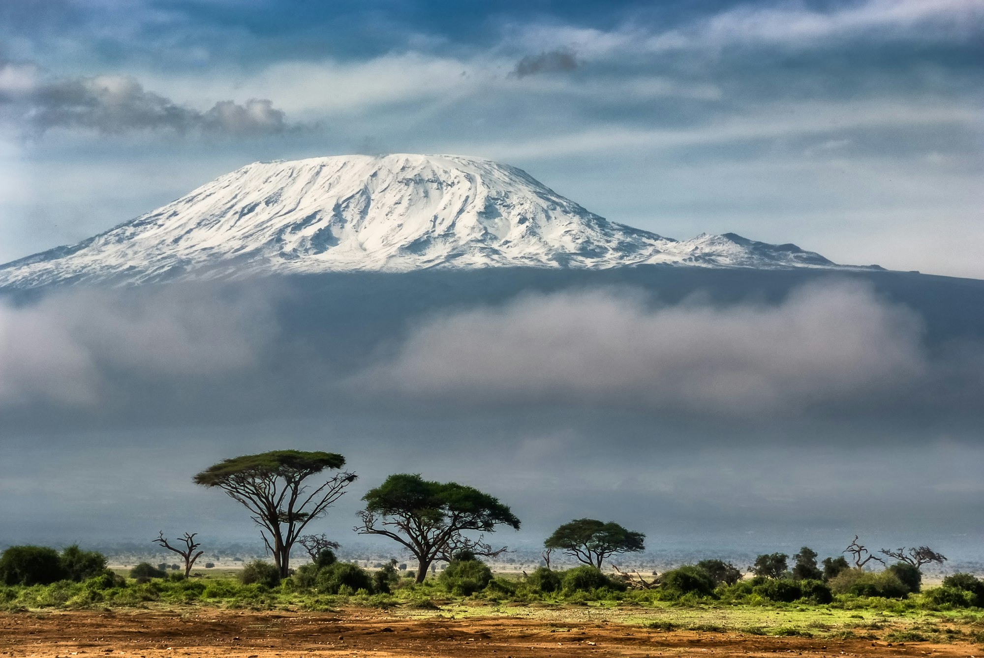 Kilimanjaro, East African anchor, where we operate today